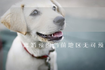 离婚预约当前地区无可预约 离婚预约当前地区无可预约