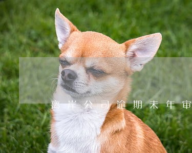 离岸公司逾期未年审 离岸公司逾期未年审