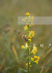 离岸账户年审逾期一周 离岸账户年审逾期一周