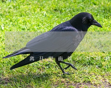 离开里面就可以算离婚了 离开里面就可以算离婚了