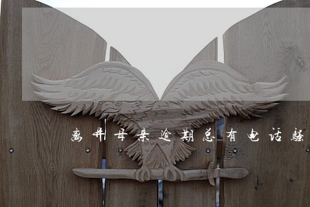 离异母亲逾期总有电话骚扰我 离异母亲逾期总有电话骚扰我