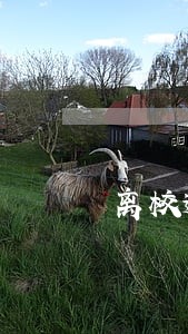 离校逾期多长时间按自动退学处理 离校逾期多长时间按自动退学处理