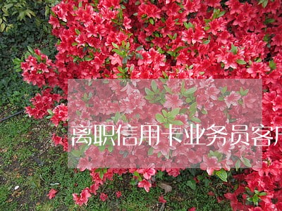 离职信用卡业务员客户逾期 离职信用卡业务员客户逾期