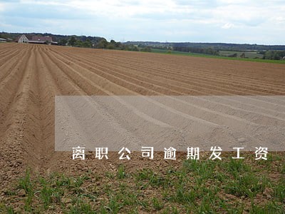 离职公司逾期发工资 离职公司逾期发工资