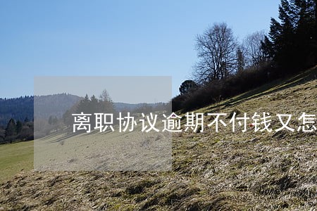 离职协议逾期不付钱又怎么办 离职协议逾期不付钱又怎么办