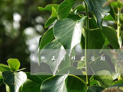 离职工作移交逾期 离职工作移交逾期