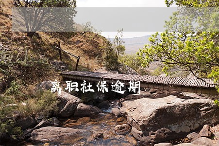 离职社保逾期 离职社保逾期