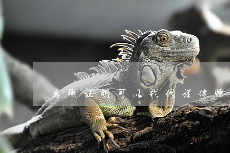 离职证明可以找代理律师吗 离职证明可以找代理律师吗