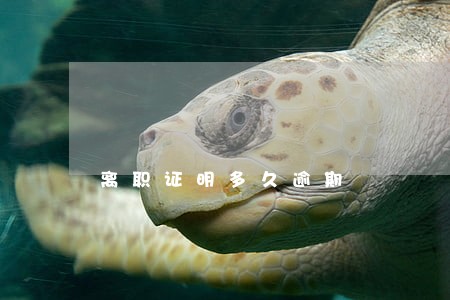 离职证明多久逾期 离职证明多久逾期