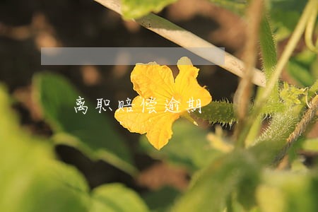 离职赔偿逾期 离职赔偿逾期