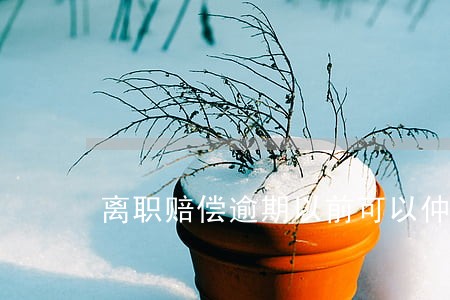 离职赔偿逾期以前可以仲裁吗 离职赔偿逾期以前可以仲裁吗