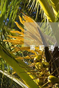 离职通知逾期未办理 离职通知逾期未办理
