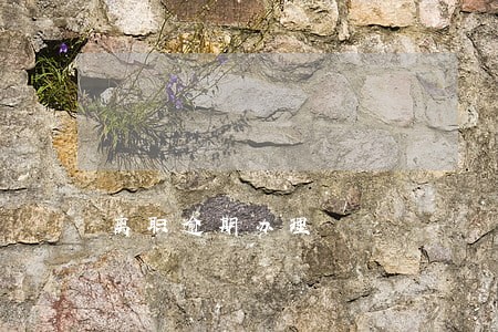 离职逾期办理 离职逾期办理