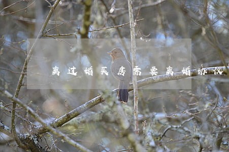 离过婚买房需要离婚协议 离过婚买房需要离婚协议