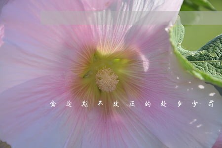 禽逾期不改正的处多少罚款 禽逾期不改正的处多少罚款