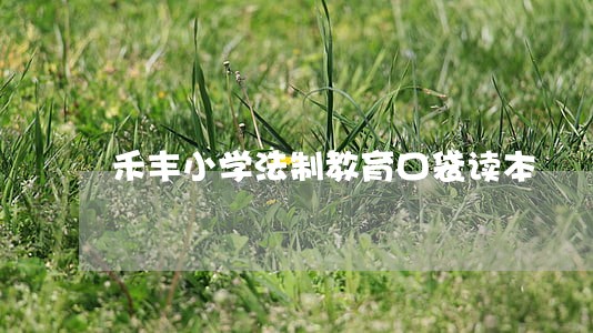 禾丰小学法制教育口袋读本 禾丰小学法制教育口袋读本
