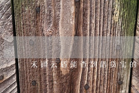 禾通云盾能查到借贷宝的逾期吗 禾通云盾能查到借贷宝的逾期吗