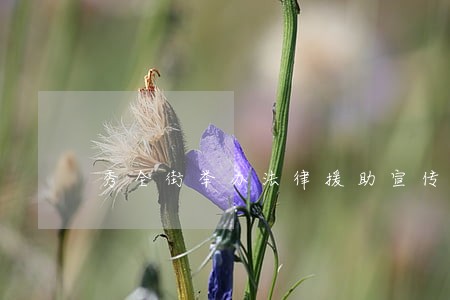 秀全街举办法律援助宣传活动 秀全街举办法律援助宣传活动