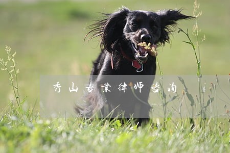 秀山专业律师咨询 秀山专业律师咨询
