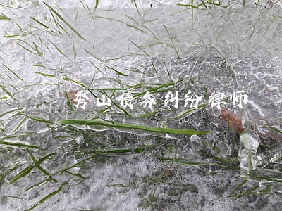 秀山债务纠纷律师