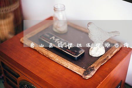 秀山县抵押担保律师咨询电话 秀山县抵押担保律师咨询电话