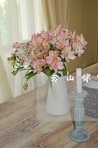 秀山律师电话号码离婚 秀山律师电话号码离婚