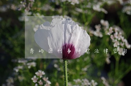 秀屿区刑事辩护法律咨询 秀屿区刑事辩护法律咨询