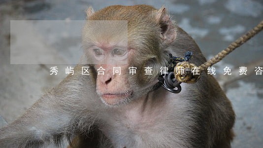 秀屿区合同审查律师在线免费咨询 秀屿区合同审查律师在线免费咨询