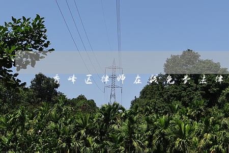 秀峰区律师在线免费法律咨询 秀峰区律师在线免费法律咨询