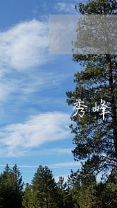 秀峰区水利电力律师在线免费咨询 秀峰区水利电力律师在线免费咨询