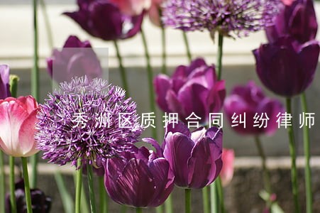 秀洲区质押合同纠纷律师咨询 秀洲区质押合同纠纷律师咨询