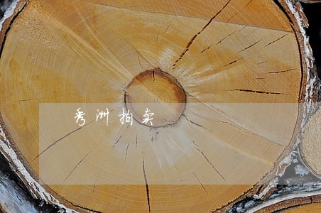 秀洲拍卖 秀洲拍卖