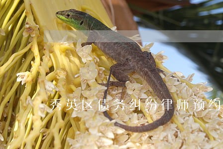 秀英区债务纠纷律师预约 秀英区债务纠纷律师预约