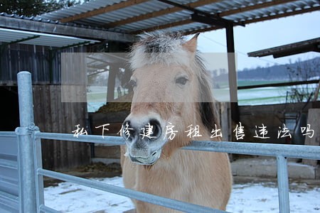 私下修建房租出售违法吗 私下修建房租出售违法吗