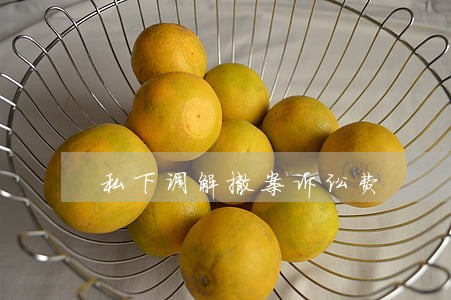 私下调解撤案诉讼费