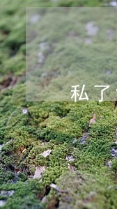 私了司法开的证明有效吗 私了司法开的证明有效吗