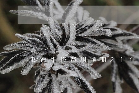 私产维修费用逾期21年怎么办 私产维修费用逾期21年怎么办