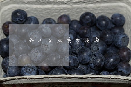 私人企业贷款逾期 私人企业贷款逾期