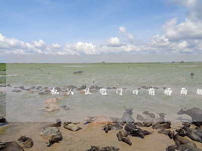 私人住宅门口前搭雨棚违法吗 私人住宅门口前搭雨棚违法吗