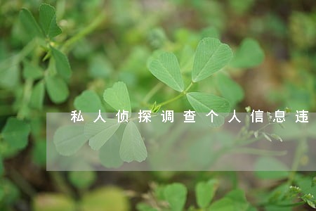 私人侦探调查个人信息违法嘛 私人侦探调查个人信息违法嘛