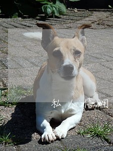 私人信用卡逾期怎么协商还款 私人信用卡逾期怎么协商还款