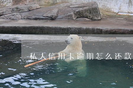私人信用卡逾期怎么还款 私人信用卡逾期怎么还款
