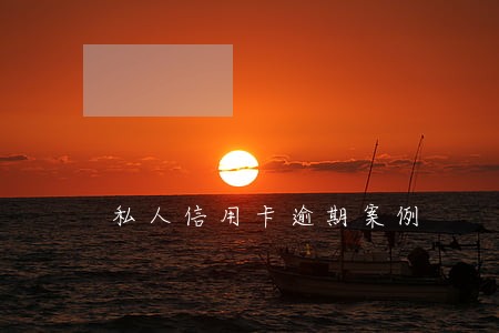 私人信用卡逾期案例
