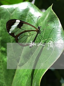 私人借条只还本金 私人借条只还本金