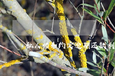 私人借条约定逾期还款利息 私人借条约定逾期还款利息