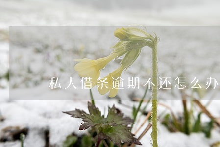 私人借条逾期不还怎么办 私人借条逾期不还怎么办
