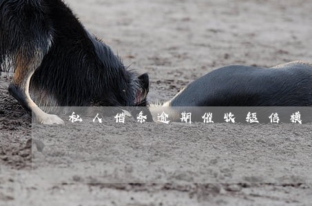 私人借条逾期催收短信模板 私人借条逾期催收短信模板