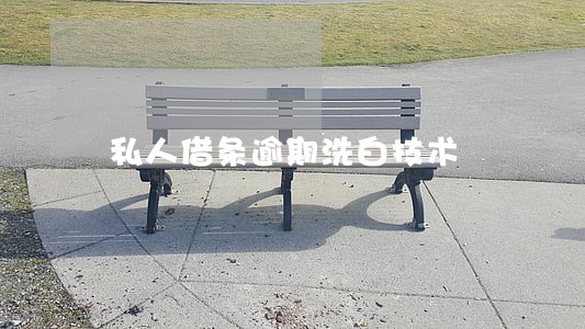 私人借条逾期洗白技术 私人借条逾期洗白技术