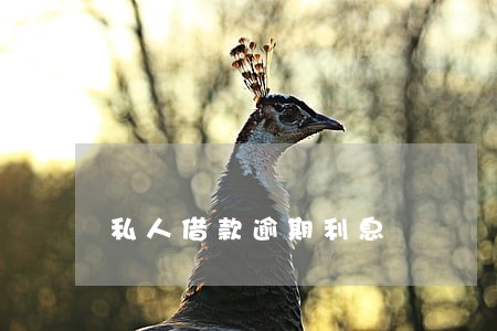 私人借款逾期利息 私人借款逾期利息