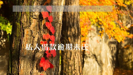 私人借款逾期未还 私人借款逾期未还